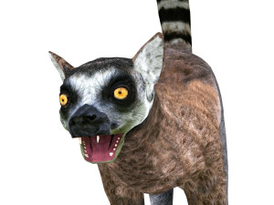 lemur 3D Model