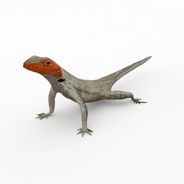 lava lizard 3D Model .c4d .max .obj .3ds .fbx .stl .blend 