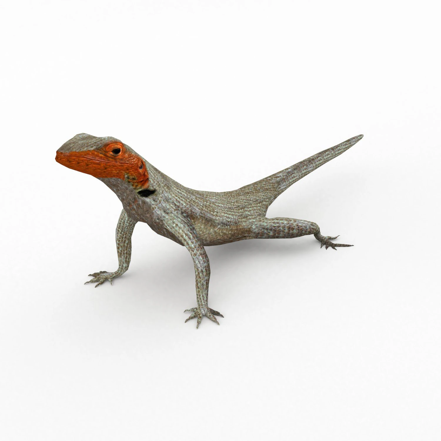 lava lizard 3D Model .c4d .max .obj .3ds .fbx .stl .blend 