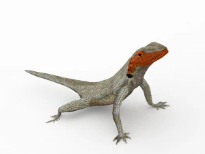 lava lizard 3D Model