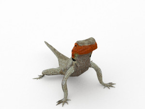 lava lizard 3D Model