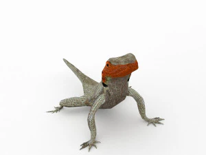 lava lizard 3D Model