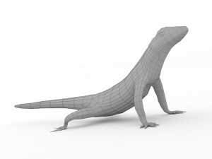 lava lizard 3D Model