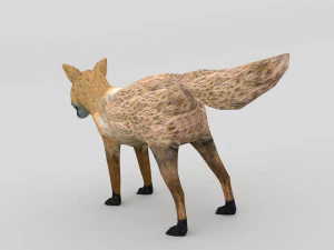 アカギツネ 3Dモデル