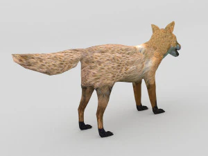 アカギツネ 3Dモデル