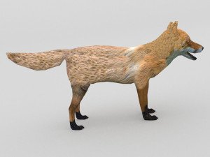 red fox Modelo 3D
