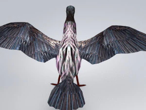 magnificent frigatebird fregata magnificens 3D Model