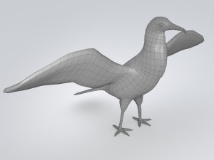 magnificent frigatebird fregata magnificens 3D Model