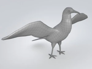 magnificent frigatebird fregata magnificens 3D Model