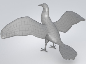 magnificent frigatebird fregata magnificens 3D Model