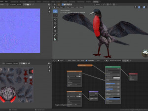 magnificent frigatebird fregata magnificens 3D Model