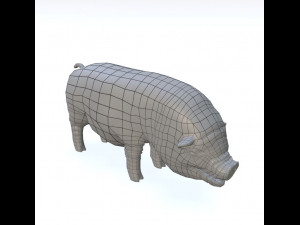 vietnamese pot-bellied pig Modelo 3D