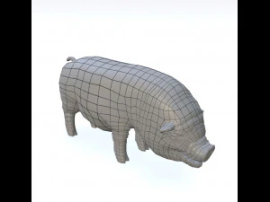 vietnamese pot-bellied pig 3D Model