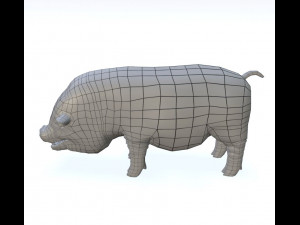 vietnamese pot-bellied pig Modelo 3D