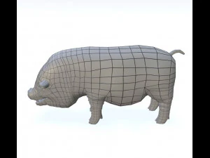 vietnamese pot-bellied pig 3D Model