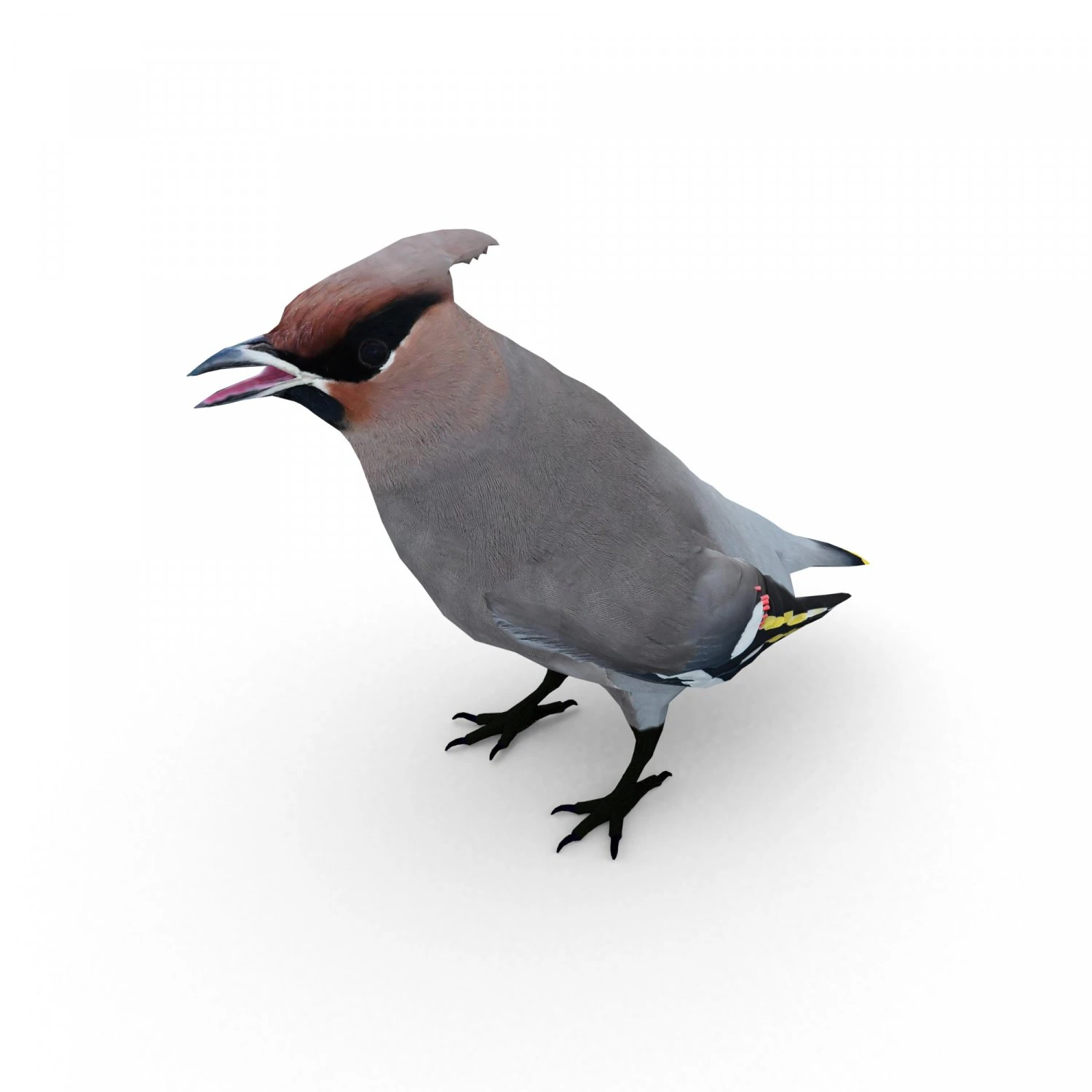 asa de cera Modelo 3D .c4d .max .obj .3ds .fbx .stl .blend 