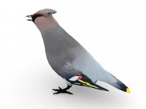 asa de cera Modelo 3D