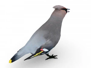 asa de cera Modelo 3D