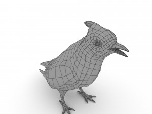 waxwing Modelo 3D