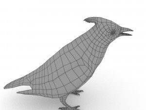 waxwing Modelo 3D