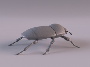 saprinus interruptus beetle Modelo 3D