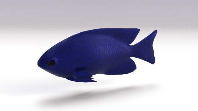 blue damselfish 3D Модель .c4d .max .obj .3ds .fbx .stl .blend 
