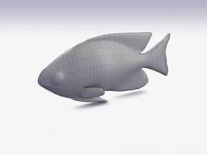 blue damselfish 3D Модель