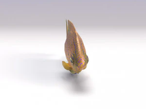 damselfish 3D Model