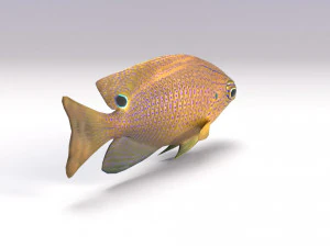 damselfish 3D Model