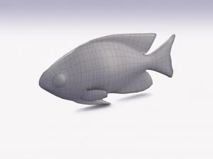damselfish 3D Model
