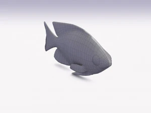damselfish 3D Model
