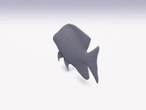 damselfish 3D Model