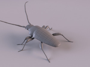 longhorn beetle Modèle 3D