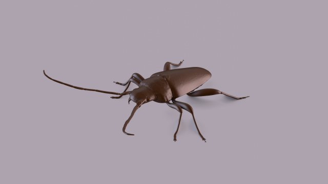 longhorn beetle printable Model do druku 3D .c4d .max .obj .3ds .fbx .stl .blend 