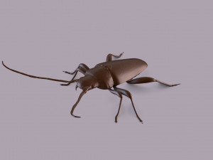 longhorn beetle printable Model Cetak 3D