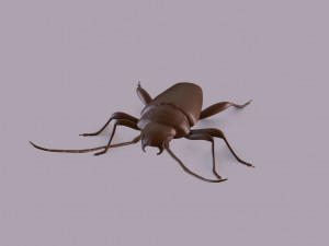 longhorn beetle printable Model do druku 3D