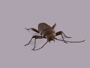 longhorn beetle printable Model do druku 3D