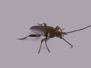 longhorn beetle printable Model do druku 3D
