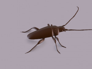 longhorn beetle printable Model do druku 3D