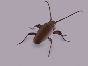 longhorn beetle printable Model do druku 3D
