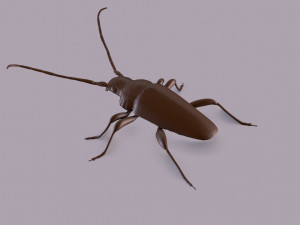 longhorn beetle printable Model do druku 3D