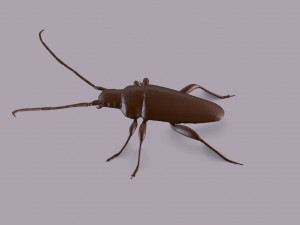 longhorn beetle printable Model do druku 3D