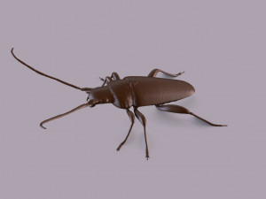 longhorn beetle printable Model do druku 3D