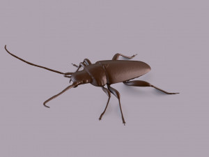 longhorn beetle printable Model do druku 3D