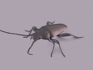 longhorn beetle printable Model do druku 3D