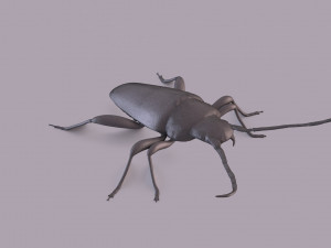 longhorn beetle printable Model do druku 3D