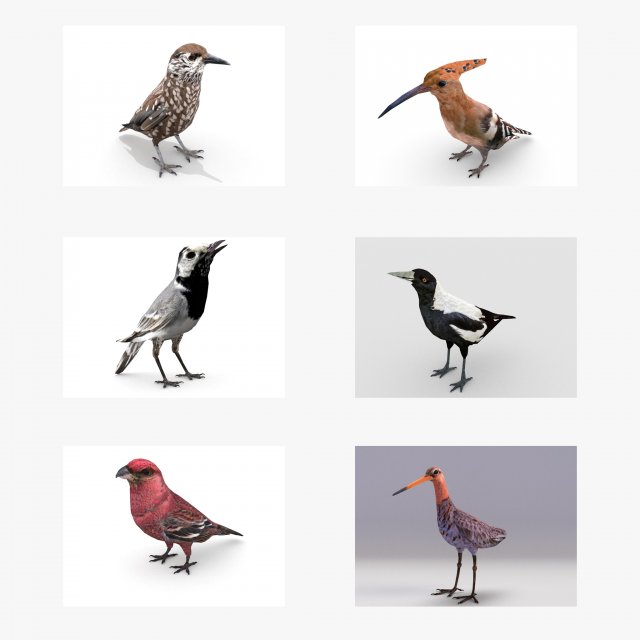 european birds bundle 3D Model .c4d .max .obj .3ds .fbx .stl .blend 