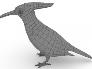 european birds bundle 3D Model