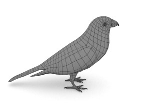 european birds bundle 3D Model