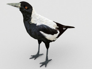 european birds bundle 3D Model